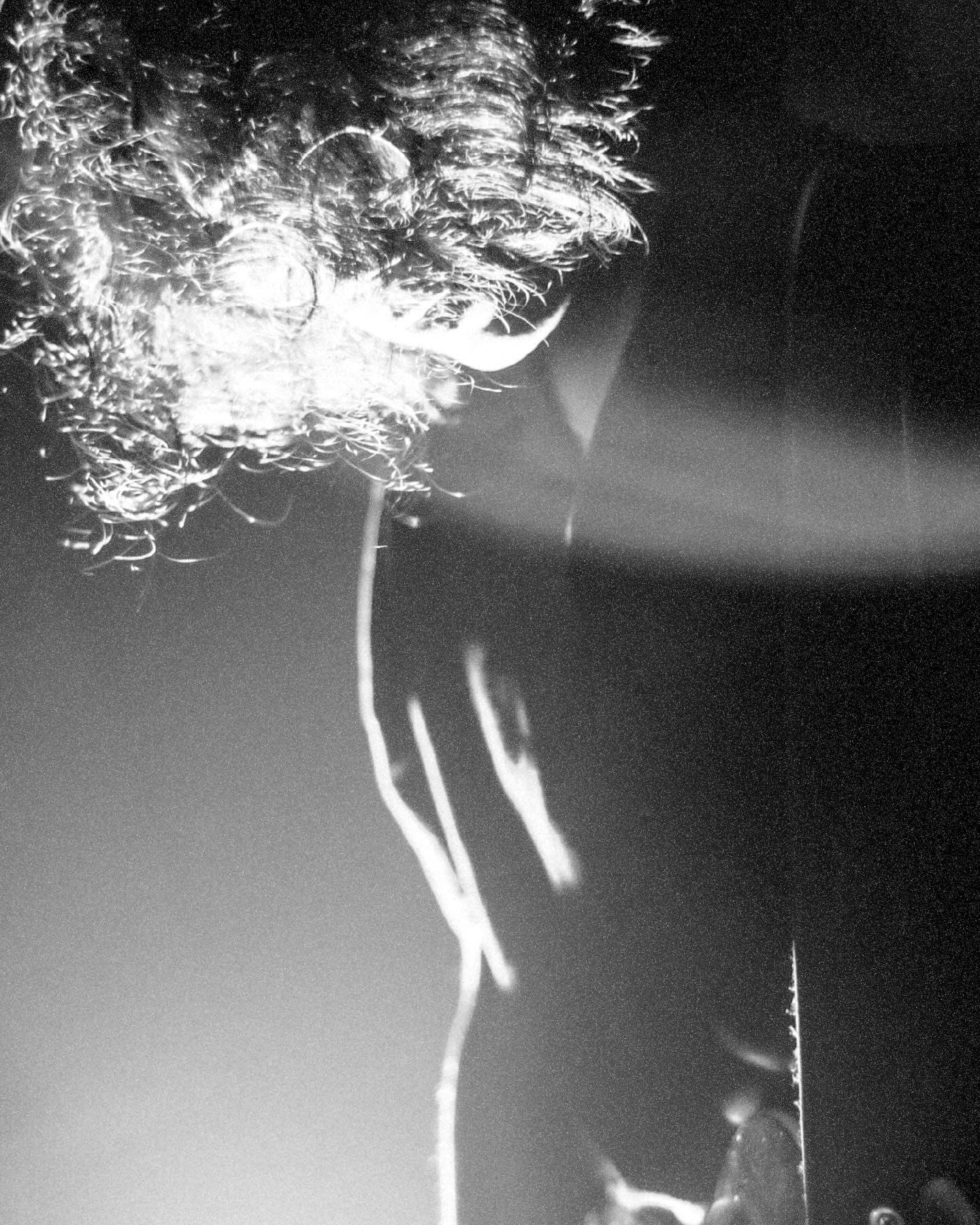 Liburan/Dirumah — “Inward” EP Release Show documentation photo 6